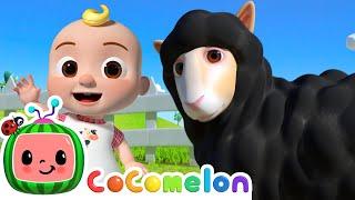 Baa Baa Black Sheep  @CoComelon Animal Time  Animals for Kids