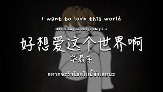 Thai Eng Sub 华晨宇《好想爱这个世界啊》歌词《I want to love this world》 - Hua Chenyu