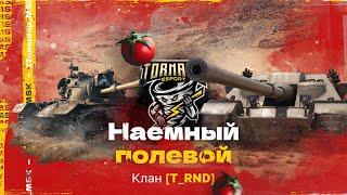 Помидор - наемный полевой T_RND  1220 ЭЛО НА Х