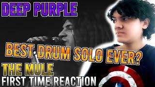 BEST DRUM SOLO EVER?? FIRST TIME REACTION TO DEEP PURPLE - THE MULE LIVE 1972