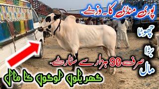 mandra mandi today latest update ll part 3 ll domail mandi ll jamil tv ll