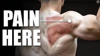 Rotator Cuff Tear Rehab & Exercises Shoulder Pain Tendinitis Impingement