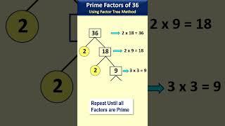 Factor tree of 36  How to draw factor tree of 36  Find factor tree of 36  36 factor tree