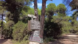 Skiathos Greece forest walk to Elia Beach  August 31 2022