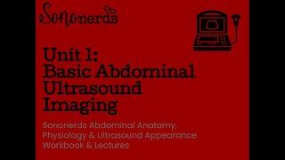 Basic Abdominal Ultrasound Imaging  Unit 1  Normal Abdomen Ultrasound with Sononerds