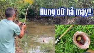 Câu cá lóc  cần tre lập đại công  rong chơi miền tây #lurecaloc #fishing