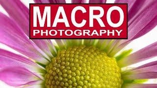 MACRO PHOTOGRAPHY FOR BEGINNERS ON A BUDGET - How to take amazing close up macro photos.