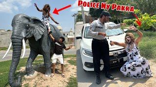 Mamu Ko Police Ki Madad Sy Pakar Lea  Elephant Pa Ride 