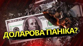 ФУРСА Що українцям робити зі СТАРИМИ доларами?  АКТУАЛЬНІ новини економіки