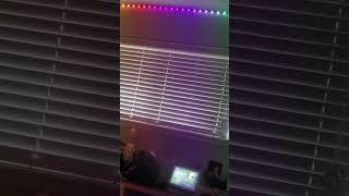 LED Music That go with my Google home And Google and Alexa Compatible With this LED Stupid