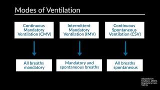 Conventional Mechanical Ventilation Initial Settings by B. Grenier  OPENPediatrics