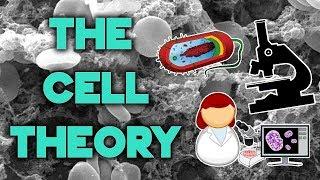 The Cell Theory  Complete Breakdown in 8 Minutes  Bio 101  STEMstream