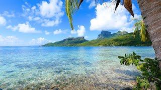 French Polynesia 3 Hours of Tropical Island Ambience For Relaxation