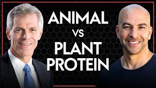 Animal protein vs. plant protein determining quality and bioavailability  Peter Attia