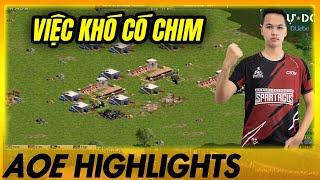 Chiến thắng KO THỂ THUYẾT PHỤC HƠN của Chim Sẻ Đi Nắng  AoE Highlights #aoe