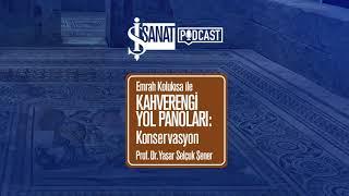 Prof. Dr. Yaşar Selçuk Şener  Kahverengi Yol Panoları