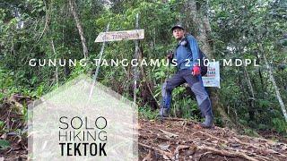 GUNUNG TANGGAMUS 2.101 mdpl  Solo Hiking  Pendakian Sendirian TekTok pulang pergi 