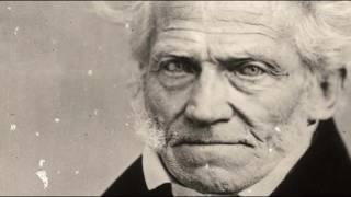 Le monde de Schopenhauer Livre I 14  Comment distinguer le vrai du faux ?