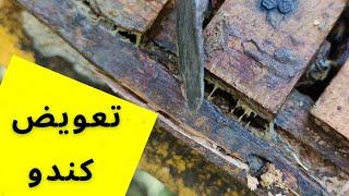 آموزش زنبورداری  تعویض کندو کهنه