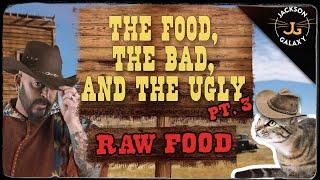 Cat Nutrition The Food The Bad & The Ugly Part 3 Raw Food