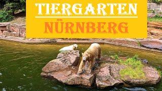 Зоопарки Германии. Нюрнберг  Tiergarten Nürnberg. Zoo Eindruck. Mai 2023