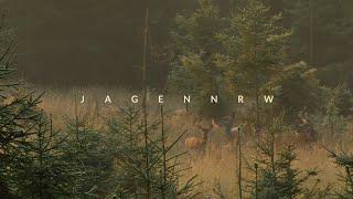 Rotwildjagd im August –  jagenNRW story #18 – Jägerglück im Morgentau – HOD – Jagd