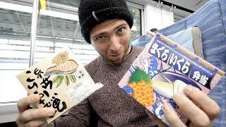 Japanese TRAIN FOOD Review - Fish Bento Box + Meiji Jingu Shrine  Tokyo to Yamanashi Prefecture