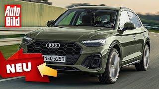 Audi Q5 2020 Facelift - Neuvorstellung - SUV - Marktstart