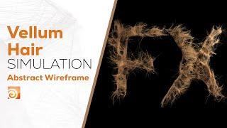 Vellum Hair Simulation with Abstract Wireframe  Houdini Tutorial