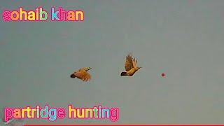 partridge hunting in pakistan#hunting Shotkametetar ka sekar#huntingpakistan