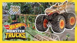 MONSTER TRUCKS vs CARS FACEOFF  Monster Trucks  @HotWheels