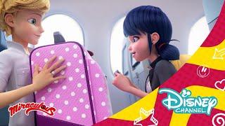 Las aventuras de Ladybug en Nueva York Avance exclusivo  Disney Channel Oficial