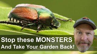 How to Get Rid of Japanese Beetles and Stop the Plague