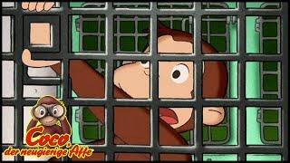 Coco der Neugierige 208 Hektor kommt ins Tierheim  Ganze Folgen  Cartoons für Kinder Staffel 2