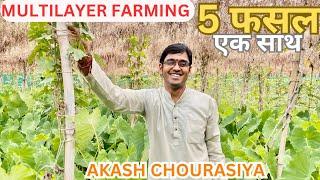 Multilayer farming full details by Shree Akash Chourasiya  जैविक खेती लागत कम उत्पादन ज्यादा