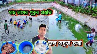 মাছ চাষের জন্য পুকুর প্রস্তুতি-পর্ব-১ পুকুরের পানি সবুজ করার উপায়  বাংলা মাছ চাষ পদ্ধতি