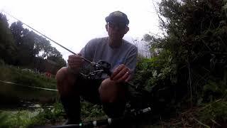 Colmic Weper X8 Braid On A Shimano Scorpion 71XG Baitcasting Reel