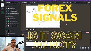 Forex Signals is it a scam or not? How to find the best signals providers in Telegram and Discord?