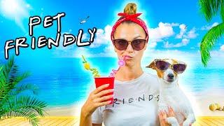 PET FRIENDLY ОТПУСК   Отдых с собакой жильё транспорт собираем чемодан