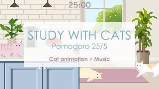 Study with Cats  Morning routine vlog style but cats  Animation x Pomodoro Timer 255 