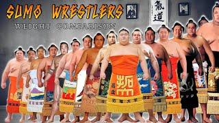 Sumo Wrestlers Weight Comparison  Most Heavy Weight Wrestlers Around the World