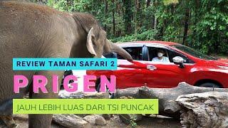 Taman Safari Prigen Pasuruan 2022  Punya Playground Yang Asik Banget