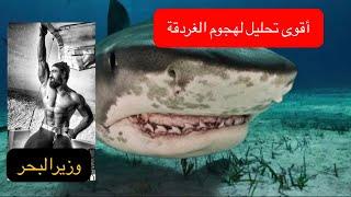 أسباب هجوم قرش النمر المحتملة على الروسي في الغردقة