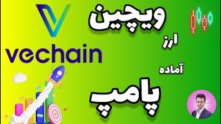 تحلیل ارز vet  پامپ vechain 