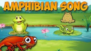 Amphibian Song