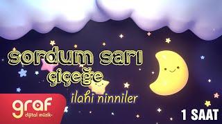 Sordum Sarı Çiçeğe  İlahi Ninniler 1 Saat Ninni