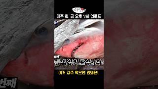 중금속이 많은 음식 특징