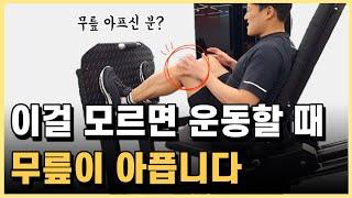 스쿼트 레그프레스 레그익스텐션 무릎통증없이 근력 운동 하는법