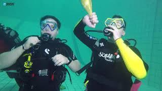 Новый Год 2019 в дайвинг клубе Divers