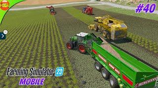 SugarBeat Mission Challenge to Fill SugarMill  Farming Simulator 23 Amberstone #40